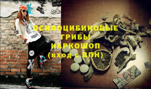 гидропоника Дмитровск
