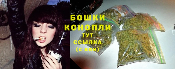 крисы Михайлов