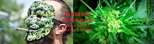 стаф Михайловск