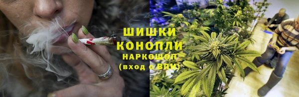 стаф Михайловск