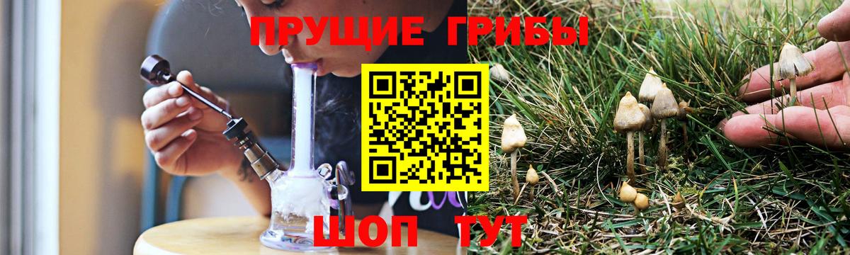 Галлюциногенные грибы прущие грибы Еманжелинск