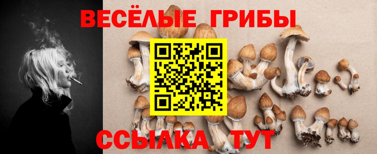 Псилоцибиновые грибы Psilocybine cubensis Еманжелинск
