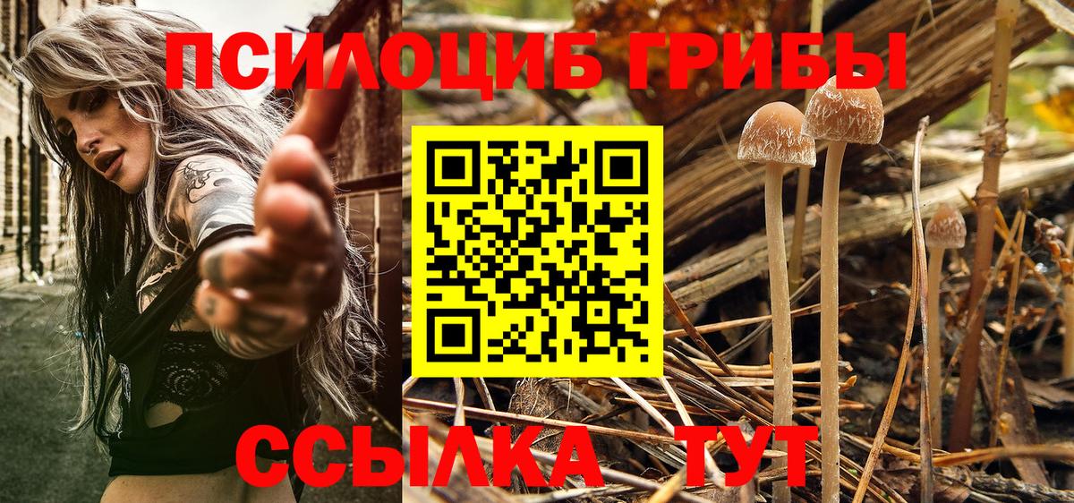 где купить наркотик  Вход с VPN  Еманжелинск  Галлюциногенные грибы мицелий  Галлюциногенные грибы Magic Shrooms 